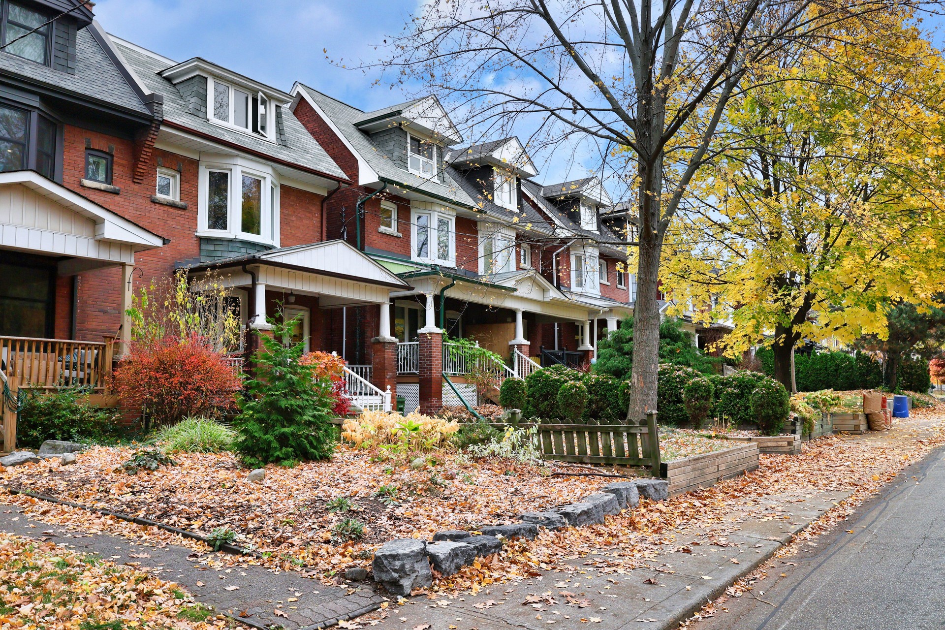 Residential street in fall